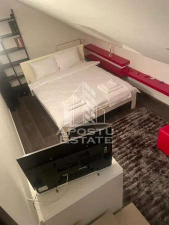 Casă 7 camere Timișoara - poza 23