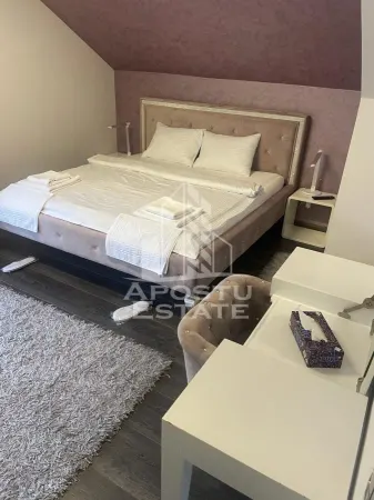 Casă 7 camere Timișoara - poza 24
