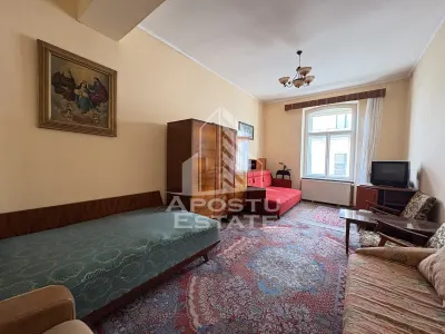 Apartament ultracentral in cladire reabilitata in Timisoara - foto 2