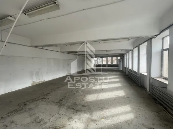 Spațiu comercial Timișoara - poza 1