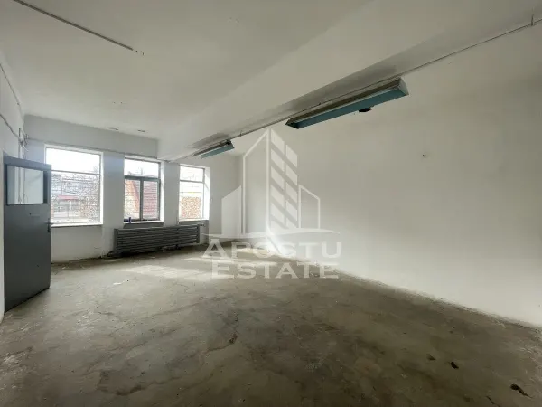 Spațiu comercial Timișoara - poza 2