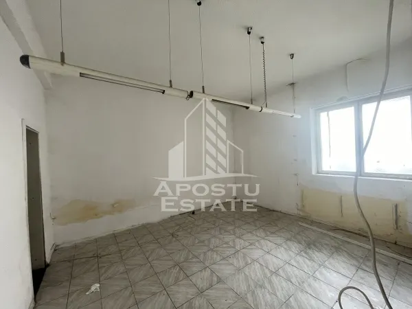 Spațiu comercial Timișoara - poza 7