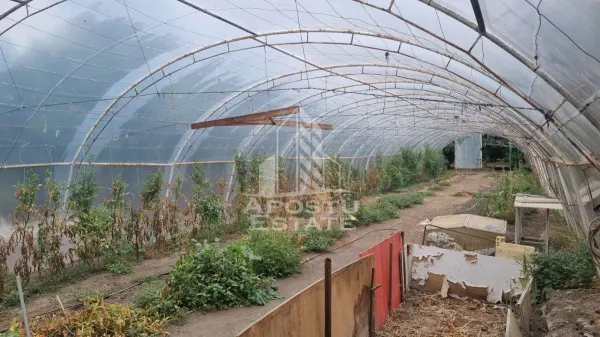 Casă 6 camere Dudestii Noi - poza 16