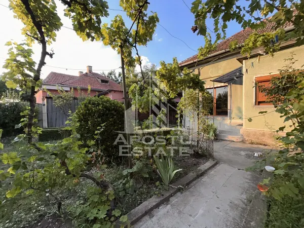 Casă 6 camere Timișoara - poza 2