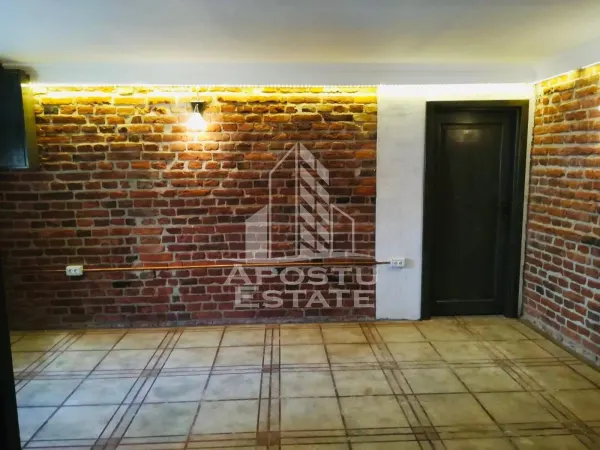 Spațiu comercial Arad - poza 3