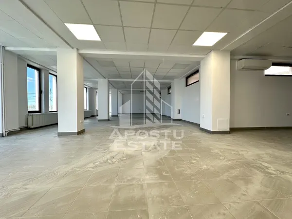 Spațiu comercial Timișoara - poza 1