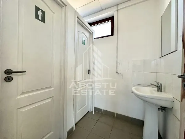 Spațiu comercial Timișoara - poza 7