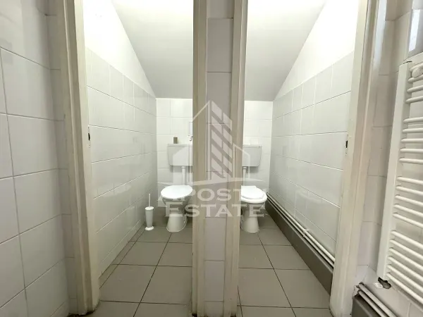 Spațiu comercial Timișoara - poza 9