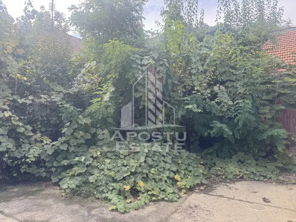 Casă 5 camere Timișoara - poza 4