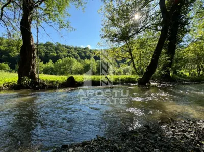 Teren de vanzare pe marginea raului, 1300mp, in Gros, Hunedoara - foto 4