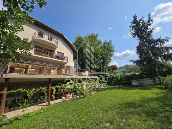 Casă 8 camere Șag - poza 4