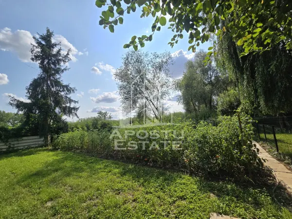 Casă 8 camere Șag - poza 5