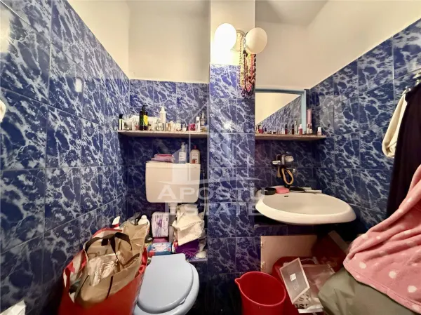 Apartament 3 camere Timișoara - poza 16