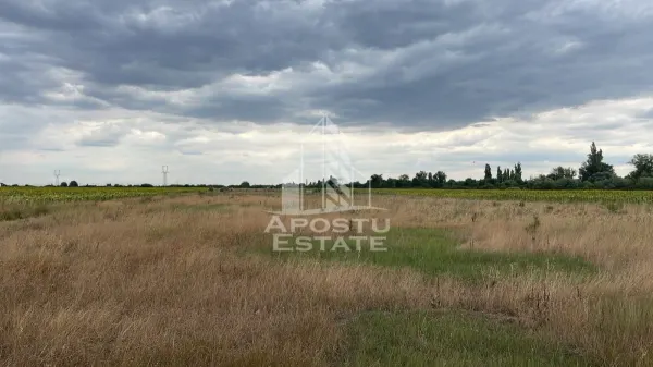 Teren Sânmihaiu Român - poza 1