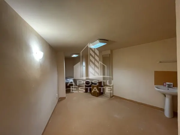 Spațiu comercial Timișoara - poza 2