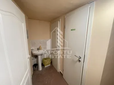 Spatiu comercial, 284 mp, Zona Kaufland Elisabetin Timisoara - foto 8