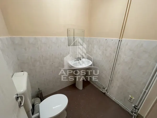 Spațiu comercial Timișoara - poza 9