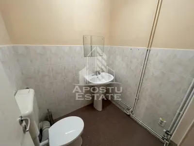 Spatiu comercial, 284 mp, Zona Kaufland Elisabetin Timisoara - foto 9
