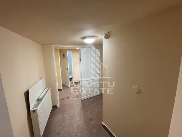 Spațiu comercial Timișoara - poza 10