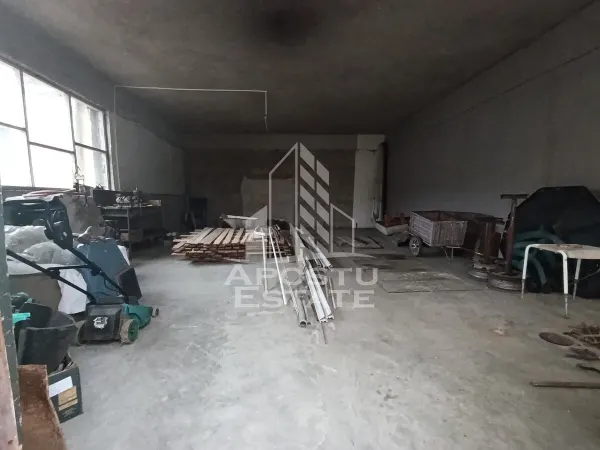 Casă 9 camere Timișoara - poza 21