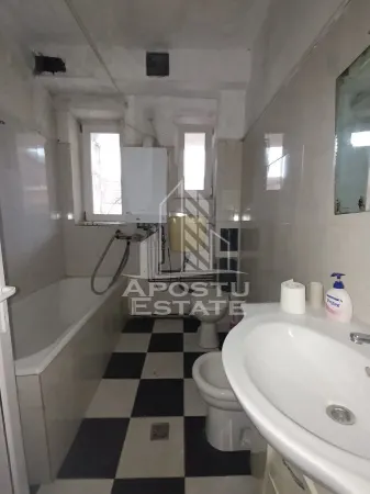 Casă 9 camere Timișoara - poza 22