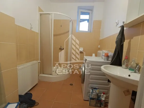 Casă 9 camere Timișoara - poza 23