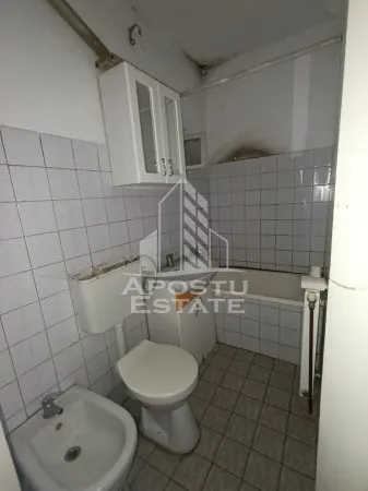 Casă 9 camere Timișoara - poza 24