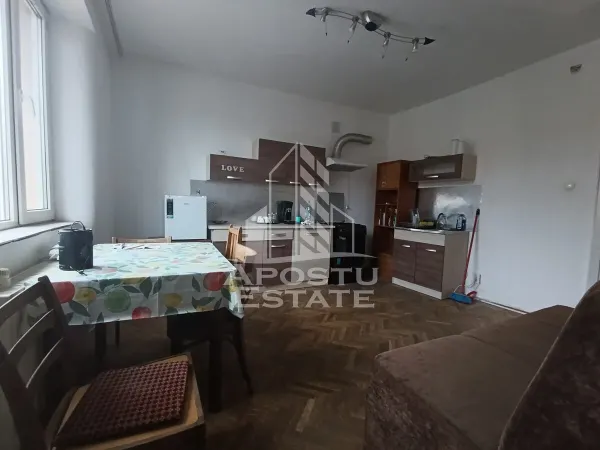Casă 9 camere Timișoara - poza 10