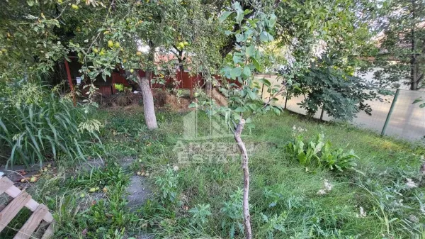 Casă 3 camere Timișoara - poza 2