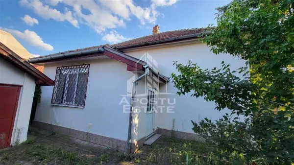 Casă 3 camere Timișoara - poza 18