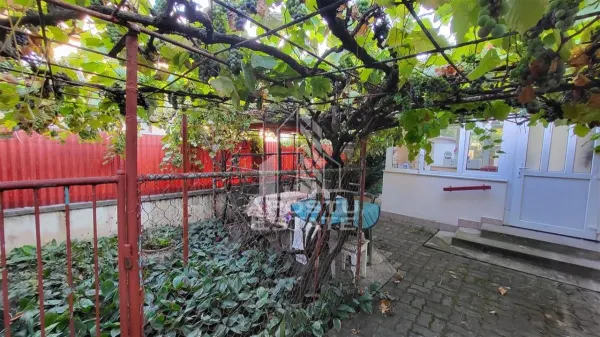 Casă 3 camere Timișoara - poza 4