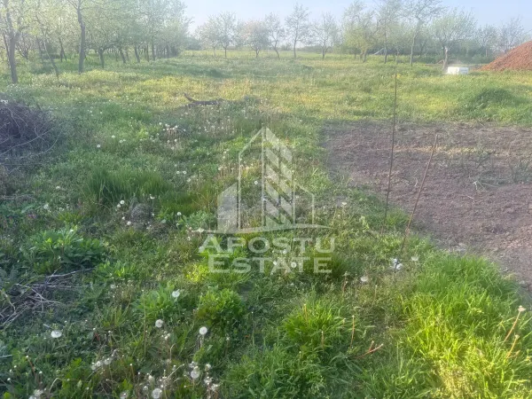 Casă 3 camere Ianova - poza 1