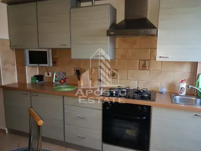 Apartament cu 3 camere de vanzare in zona Tipografilor, Timisoara - foto 9