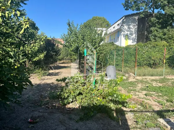 Casă 7 camere Timișoara - poza 2