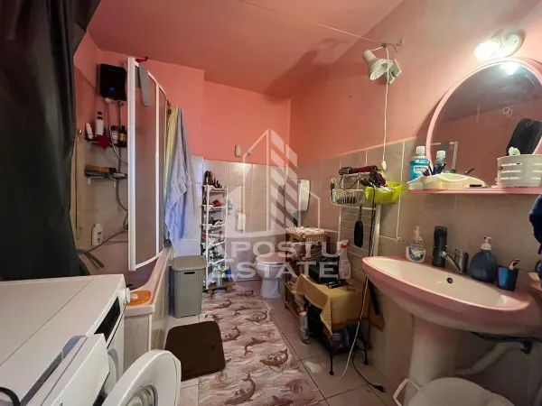 Casă 7 camere Timișoara - poza 16