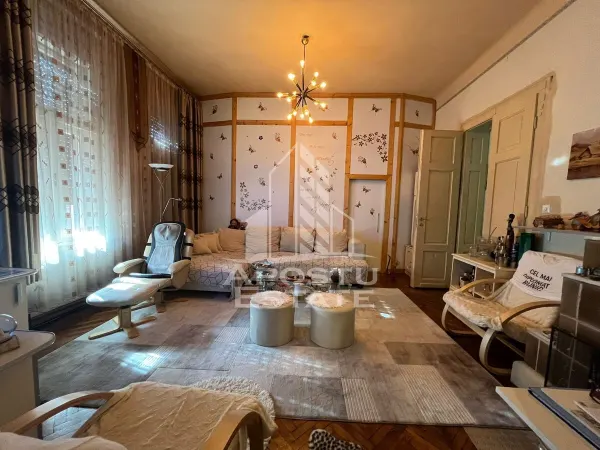 Casă 7 camere Timișoara - poza 3