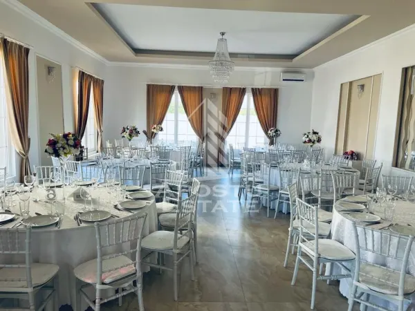 Spațiu comercial Remetea Mare - poza 3