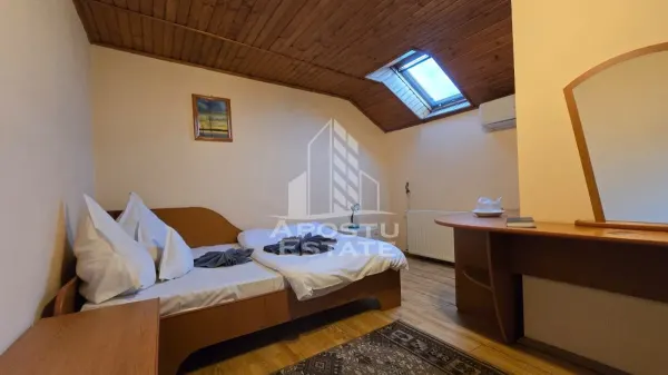 Hotel/Pensiune Timișoara - poza 15