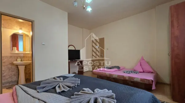 Hotel/Pensiune Timișoara - poza 4