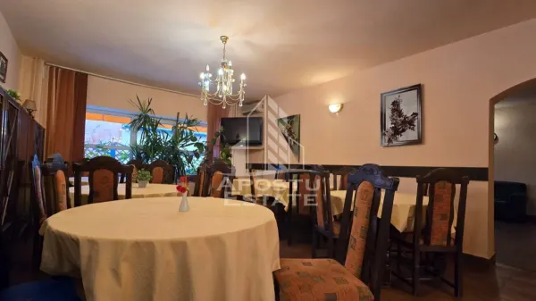Hotel/Pensiune Timișoara - poza 6