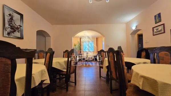 Hotel/Pensiune Timișoara - poza 7