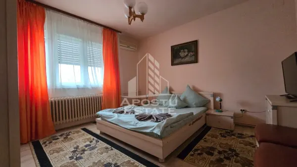 Hotel/Pensiune Timișoara - poza 10