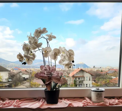 Spațiu comercial Deva - poza 17