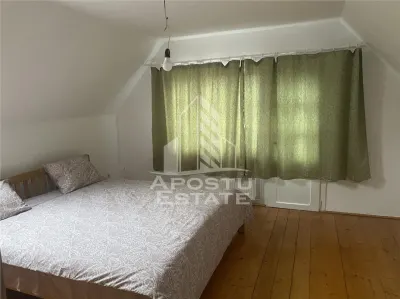 Casa individuala in Remetea Mare cu 1219 mp de teren - foto 12