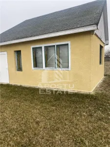 Casa individuala in Remetea Mare cu 1219 mp de teren - foto 14