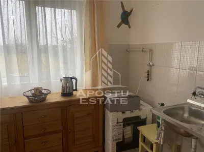 Casa individuala in Remetea Mare cu 1219 mp de teren - foto 19