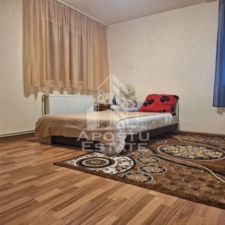 Casă 2 camere Timișoara - poza 4