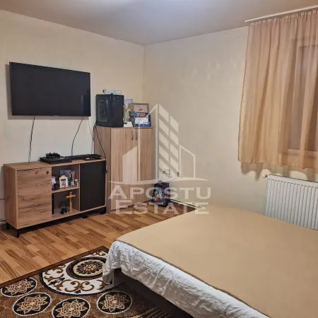 Casă 2 camere Timișoara - poza 5