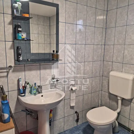 Casă 2 camere Timișoara - poza 8
