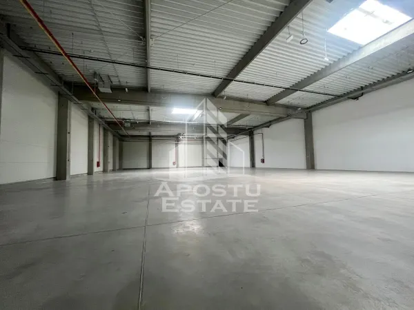 Spațiu industrial Arad - poza 3